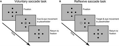 Assessing the Functional Role of Frontal Eye Fields in Voluntary and Reflexive Saccades Using Continuous Theta Burst Stimulation